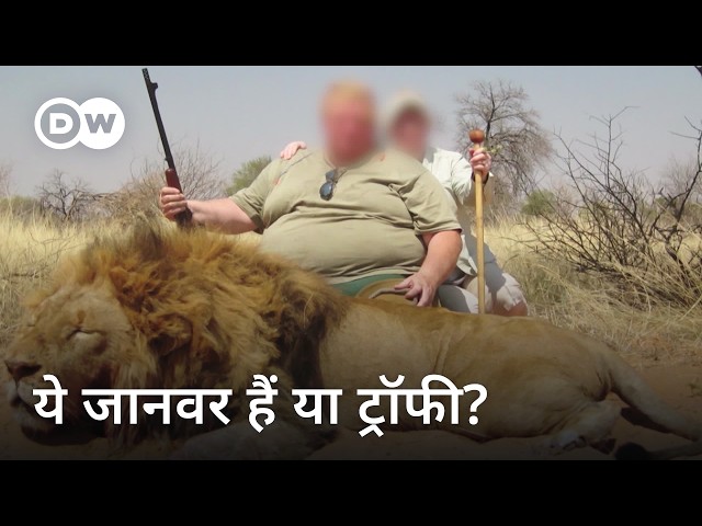 ट्रॉफी हंटिंग: कितना बेरहम शौक [Trophy Hunting Cruel Hobby Or Conservation?] | DW Documentary हिन्दी