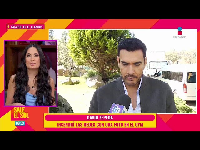The best of celebrity news with the Birds on the Wire! | #SaleElSol🌞 #SaleElSolTV