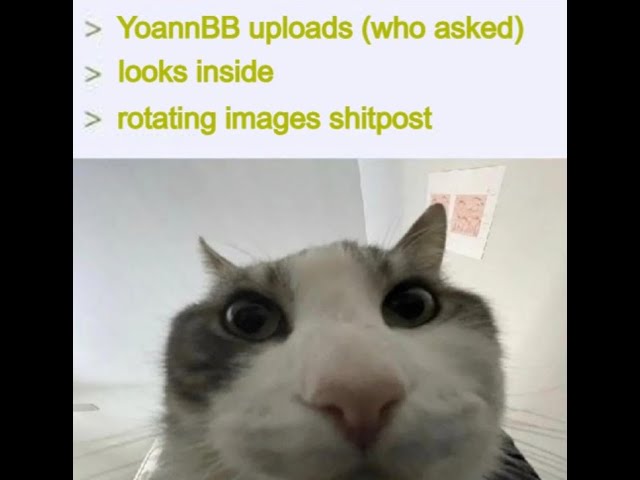 Random shitposts and short songs I've made before, look away