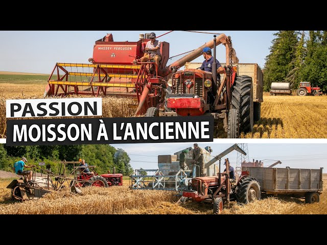 PASSION : Moissons à l'ancienne en Seine et Marne