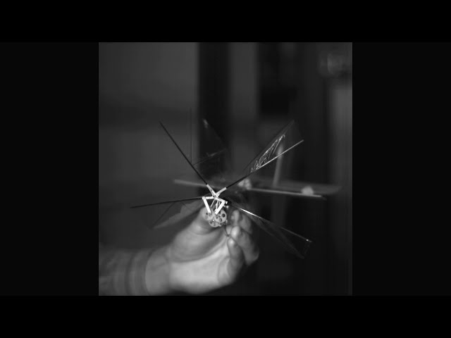 DelFly flight caught on high speed camera