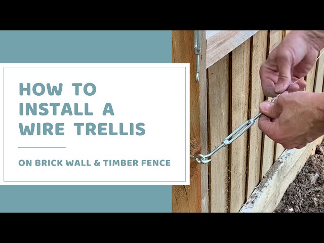How To Install DIY Wire Trellis For Climbing Plants Like Clematis, Roses and Honeysuckle