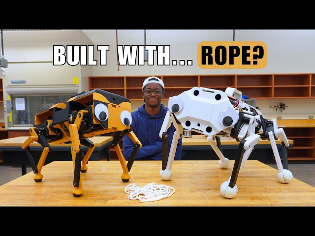 I Built an Even Better Ropebot Dog
