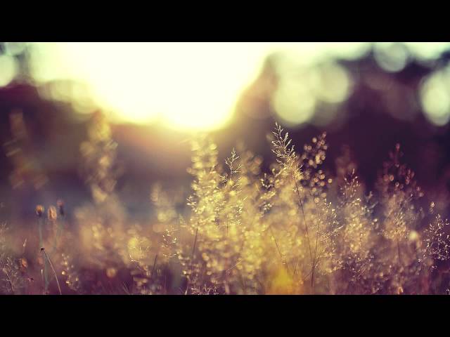 Nuage - After Rain