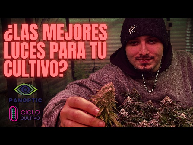 HOW CANNABIS GROW LIGHTS ARE MADE || Panoptic Grow - Ciclo Cultivo