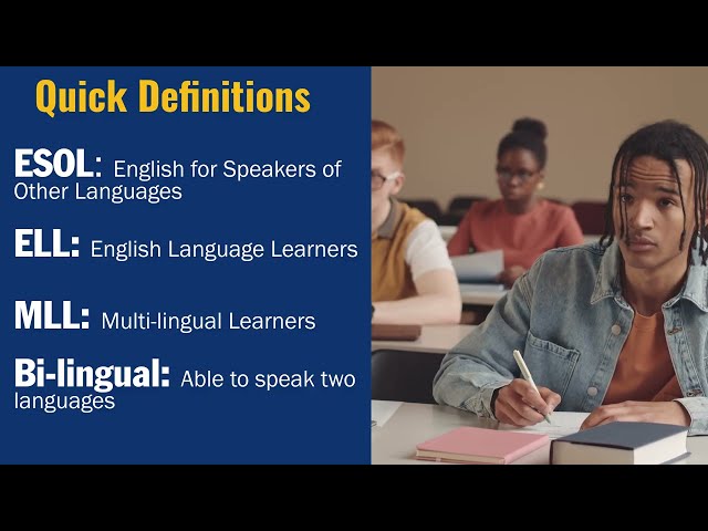 Using Academic Support for ESOL Students