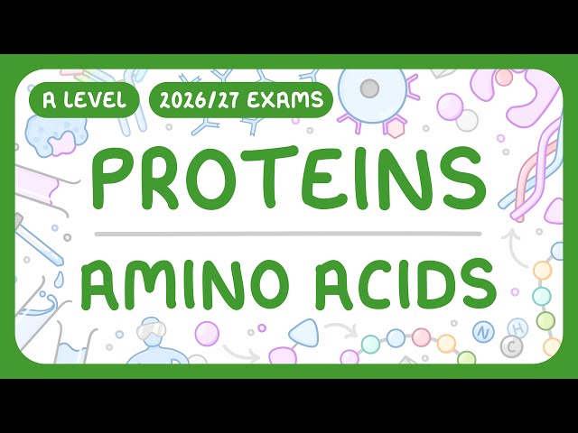 A-Level Biology - Proteins: Amino Acids | Dipeptides | How to Test for Proteins (2026/27 exams)