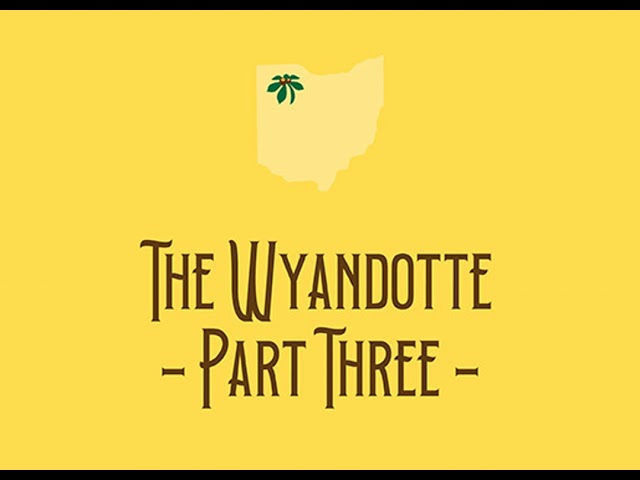 The Wyandotte (Part Three)