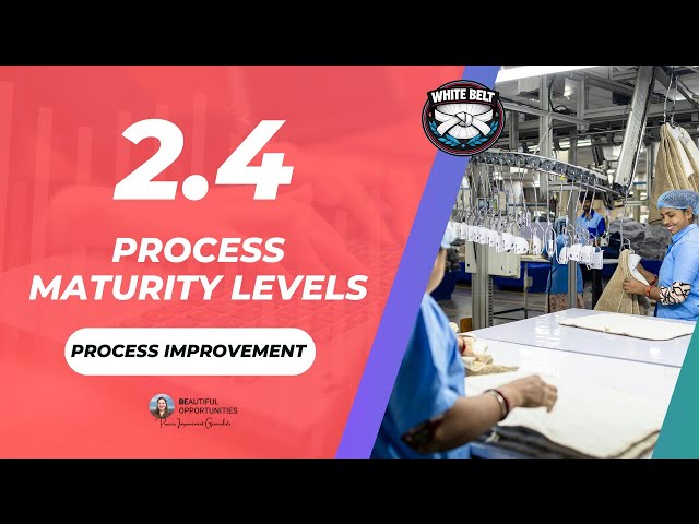 2.4 – Understanding Process Maturity (Where Your Organization Really Is)