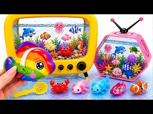 ASMR Satisfying Unboxing Rainbow Nemo Fish Aquarium TV Tank Robo Alive Toys🌈🐠Aqua Toys ASMR