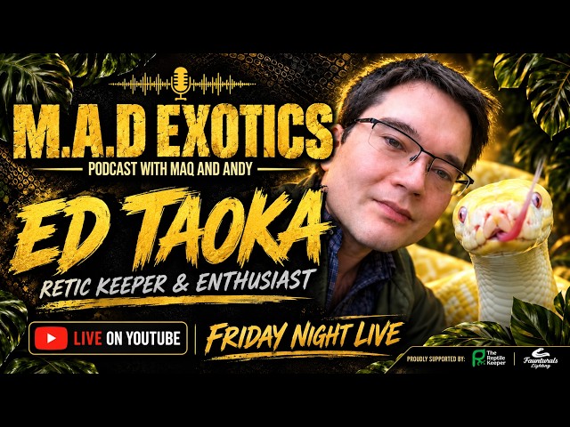FNL: Ep 51: Ed Taoka: Reticulated Pythons, Behaviour & Changing the Perception of Giant Snakes