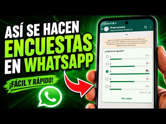 How to create surveys on WhatsApp step by step 🗳️📱 (Quick and easy)