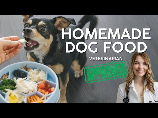 VET APPROVED Homemade Dog Food Recipe (Affordable & Healthy)