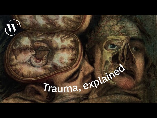 The neuroscience of trauma | Lisa Feldman Barrett