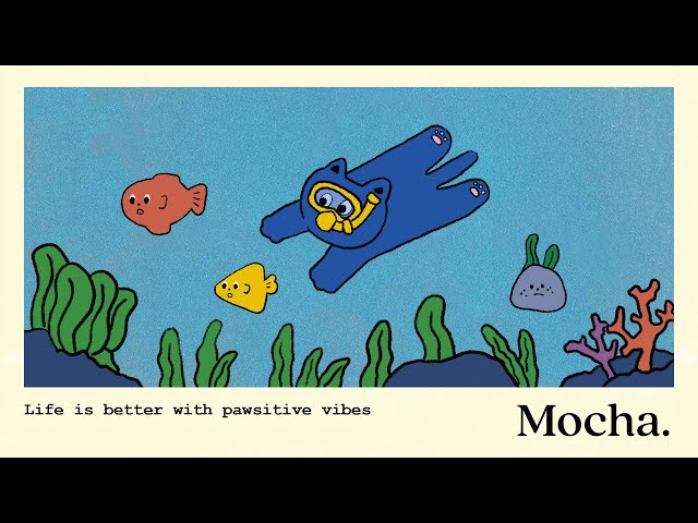 dive into positivity.