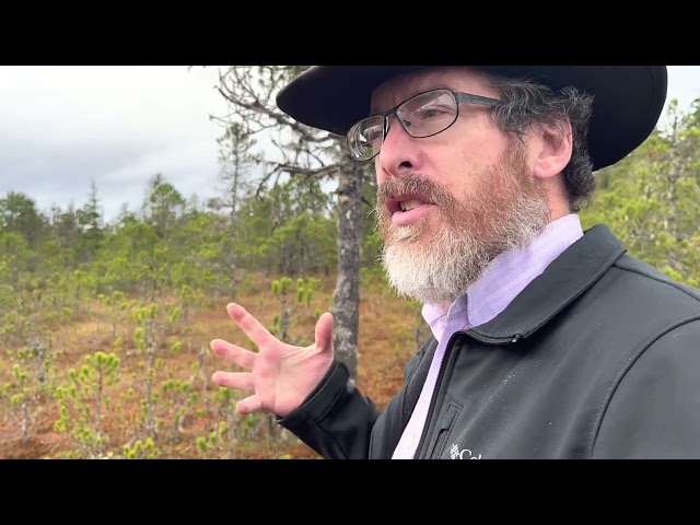 Juneau- Muskeg