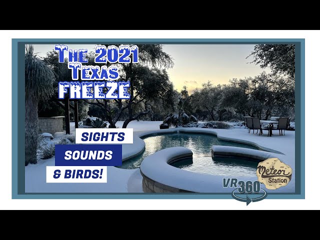 Texas Record Freeze February 2021 VR 360 | Winter Sounds, Sights & Birds