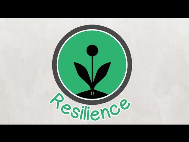 Building Resilience