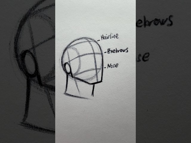 How to Draw a Head ⭐️Tutorial⭐️ #howtodraw #tutorial #loomismethod #head #draw #drawing #sketch #art