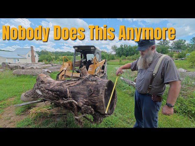 How I made my First Million With My Sawmill