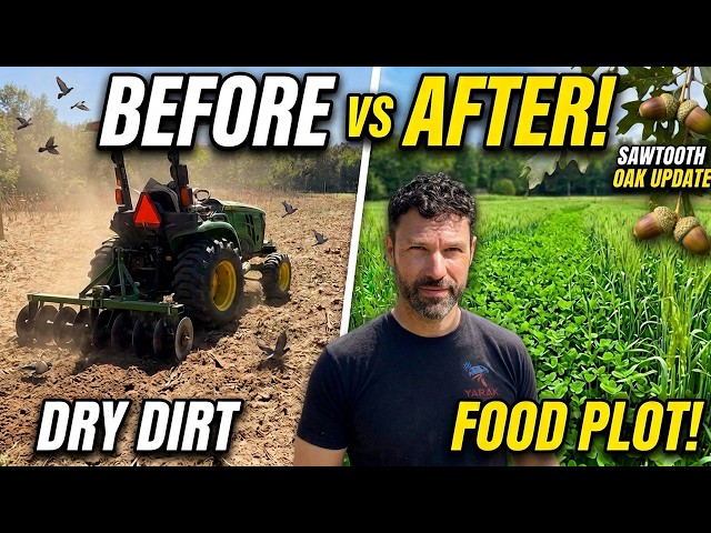 Planting Fall Food Plots for Deer | Dove Field Updates 2026