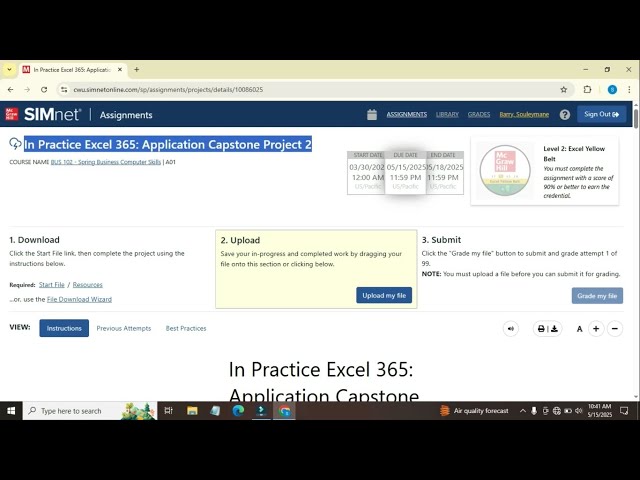 In Practice Excel 365: Application Capstone Project 2 |Step-by-Step SIMnet Solution |Excel part 1