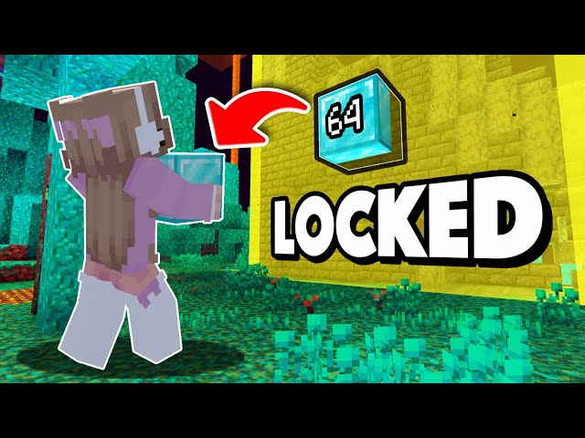 Minecraft But, Chunks Are Locked ! | Minecraft Challenge! | ishu568