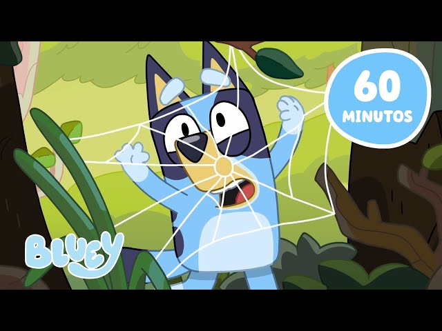 🔴EN VIVO: Explora los grandes espacios con Bluey 🏕️ | 60 MINUTOS | Bluey Español Canal Oficial
