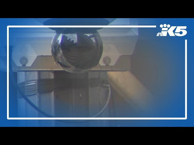 Deadly shooting reignites CCTV camera debate