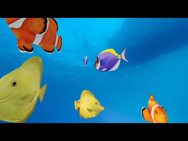 VR 360 Fish 4K now with 4K Background