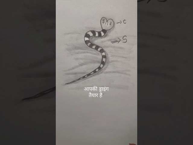 Step by step Snake Drawing for beginners 🐍✨ #easydrawing #stepbystep #drawing #pencilsketchings