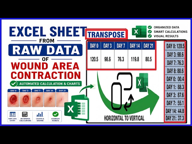 How to Create an Excel Sheet from Raw Wound Area Contraction Data | Multiple Data Transpose