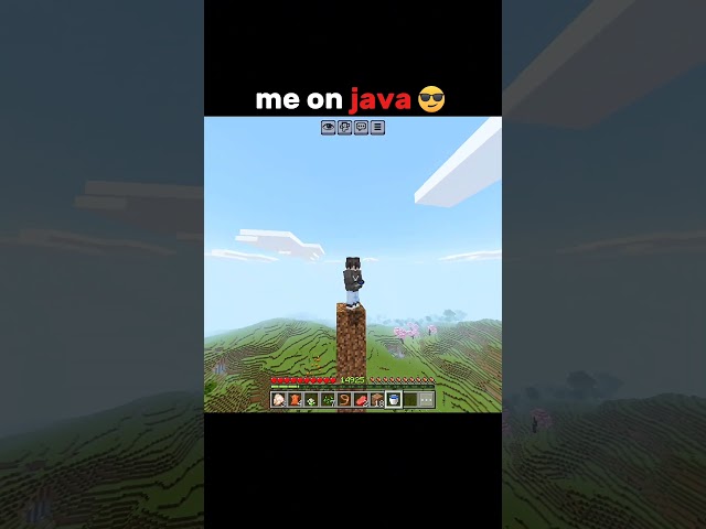 BEDROCK VS JAVA 🔥 #minecraft