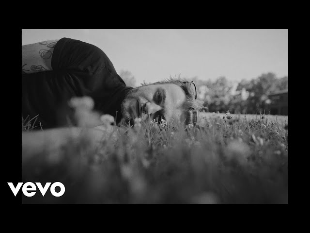 The Wldlfe - Parachute (Official Music Video)