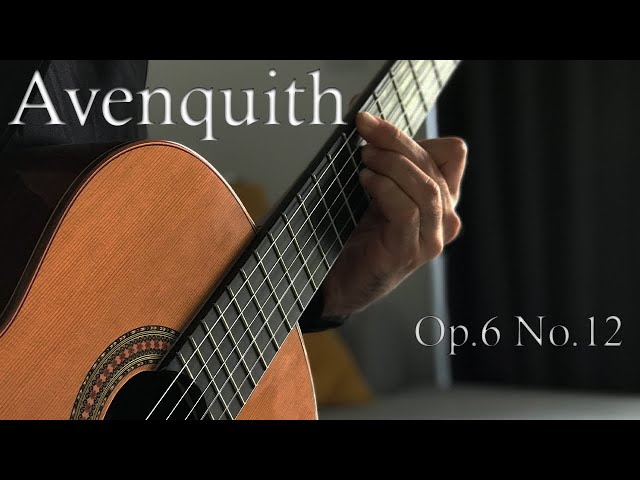 Avenquith Op.6 No.12 – Original Classical Guitar Composition By Alireza Tayebi