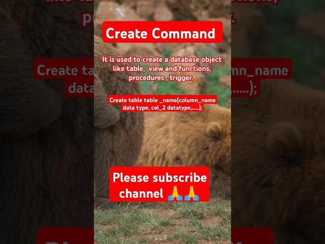 Create Command| How To Create Table In SQL | SQL Basic!! #ytshorts #youtubeshorts #viralvideo