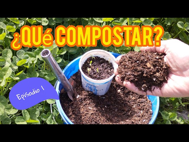 What Can and Can't Go in Your Compost Bin / Basic Composting Course