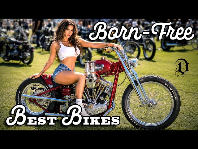 Born Free 2026 - The Best Bikes in One Video