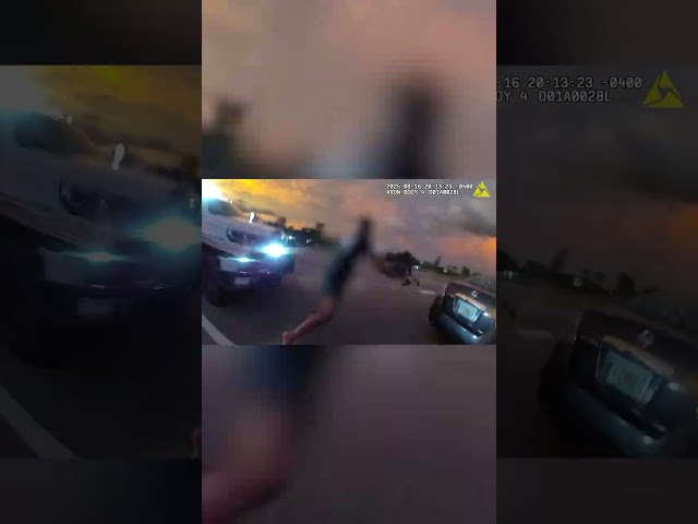 Pinellas County deputy gets a lift while chasing suspect down the street