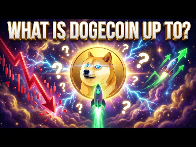 LET'S CHECK UP ON DOGECOIN