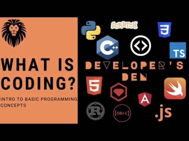 What is Coding? | Intro to Basic Programming Concepts | The Developer's Den