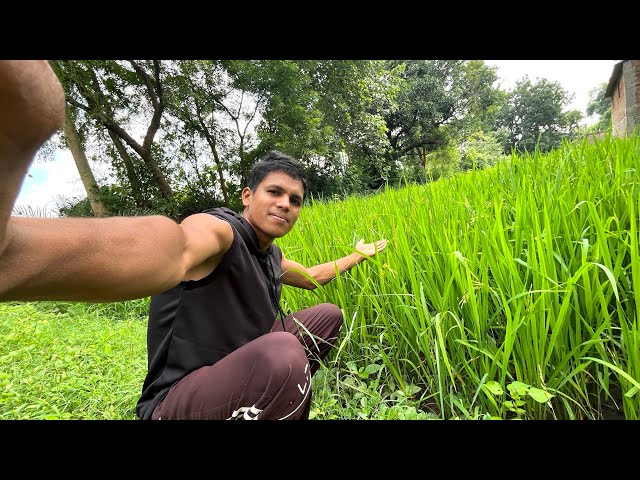 Kitna pyara gaav hai mera 😍🌿 or Aaj aai hamari Rohit sir ki film 😮🍿🎥