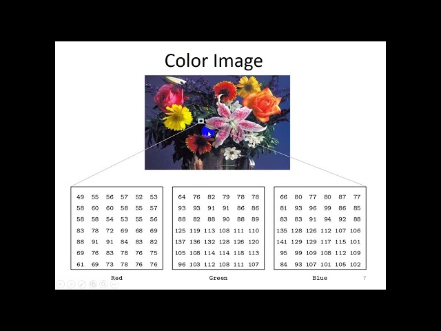 Lecture 12: Image Processing in Matlab
