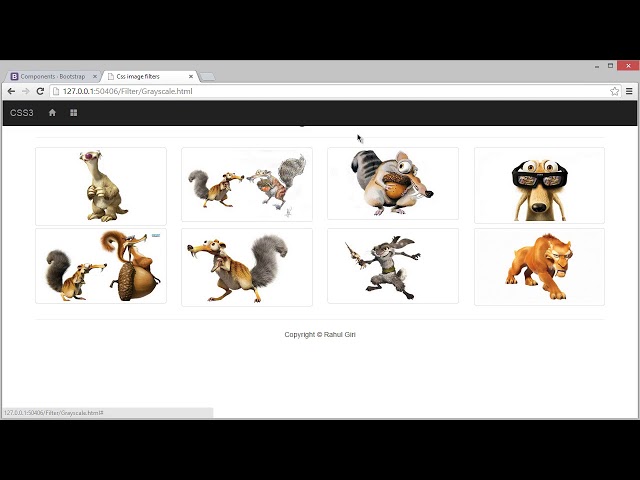 005 Grayscale Filter