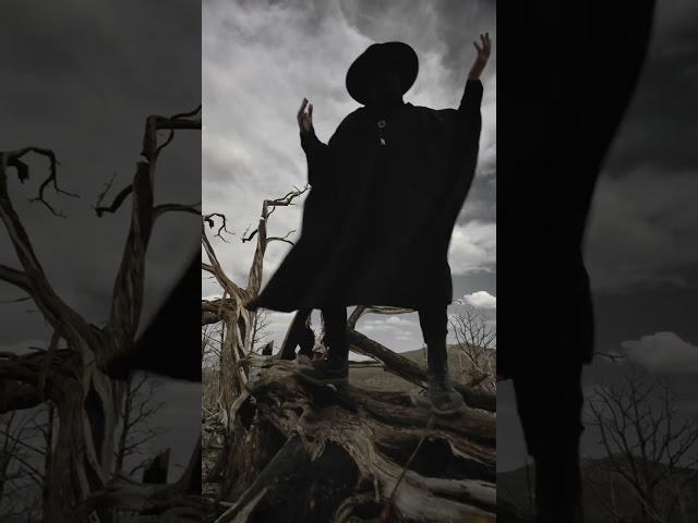 Since u've been asking for these w/out the lyrics here you go 🦇 #themagick #shorts #spookyseason