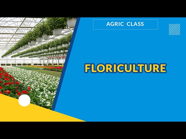 FLORICULTURE  | AGRICULTURAL SCIENCE | EXAMGUIDE