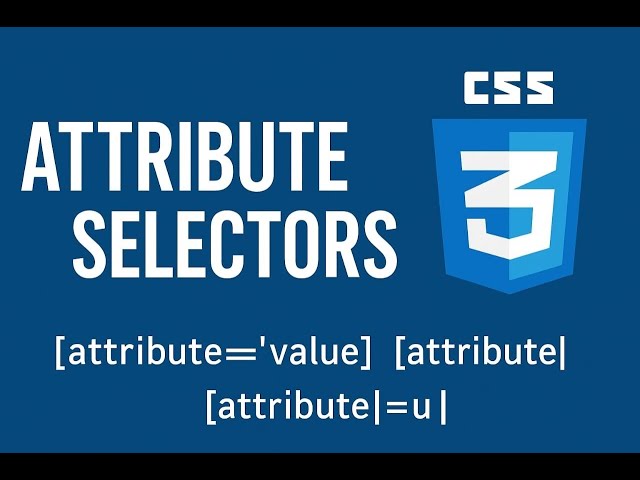 Attribute Selectors In CSS - EXPLAINED