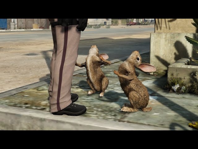 Bunny Rabbits VS The World (w/ Tapperson)