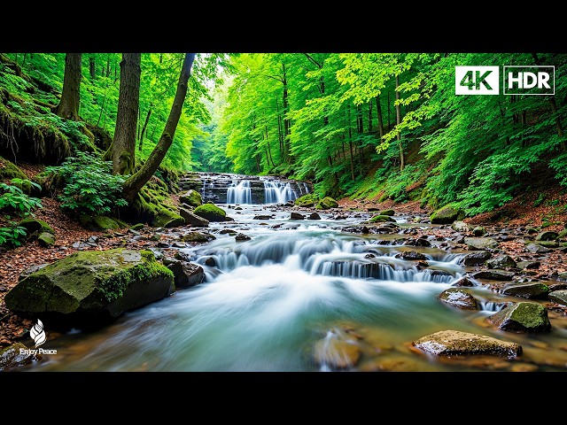 Beautiful Relaxing Music 2026 - Music Heals The Heart And Blood Vessels, Gentle Music