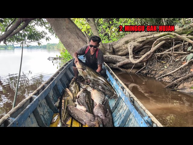 5 DAYS OF FISHING WHEN THE RIVER LOWS & GETTING LOTS OF WILD PLANTS TO COOK😅 #bocahpecicilan